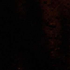 Meet your Posher, Annabel